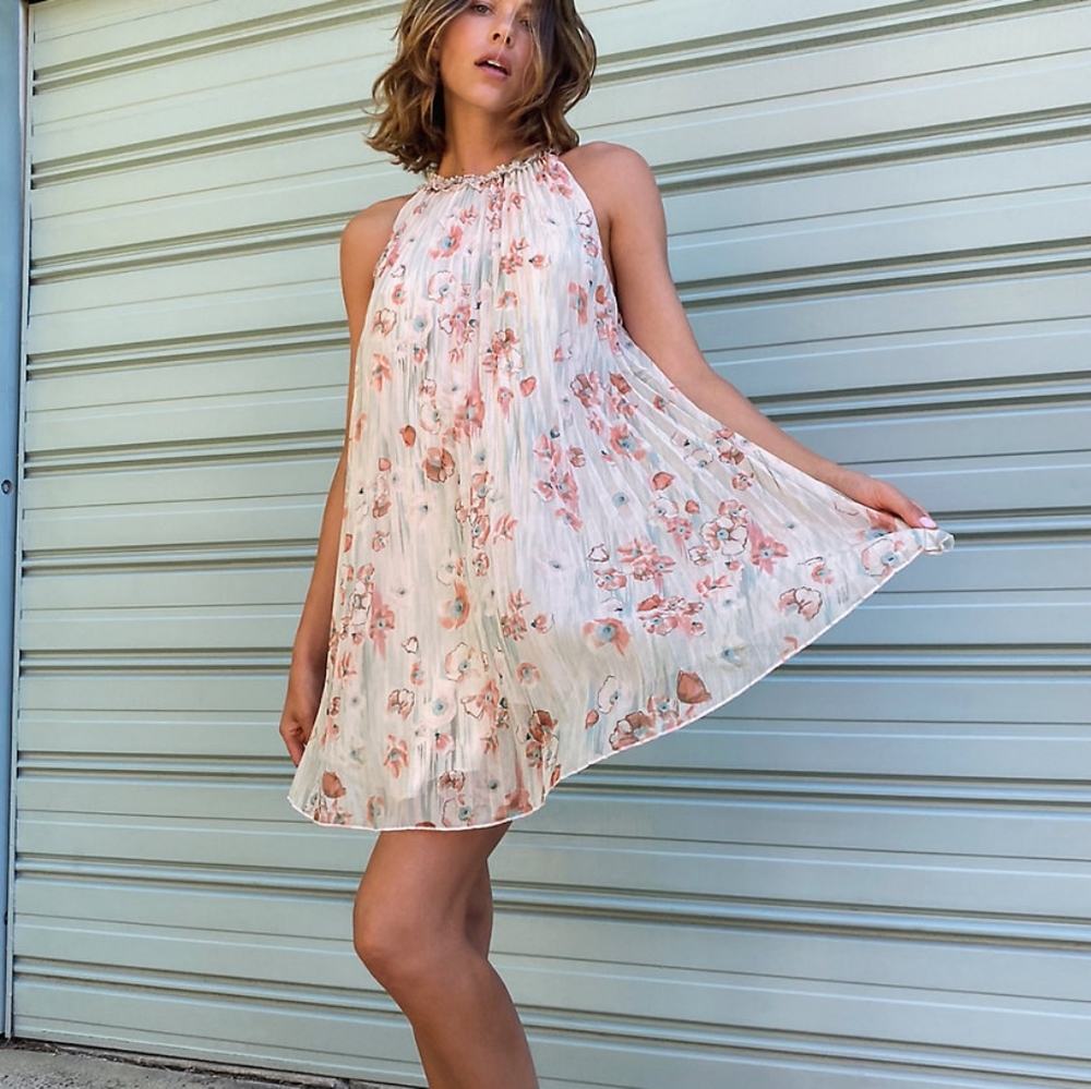 NWT Aritzia Floral A-line Dress